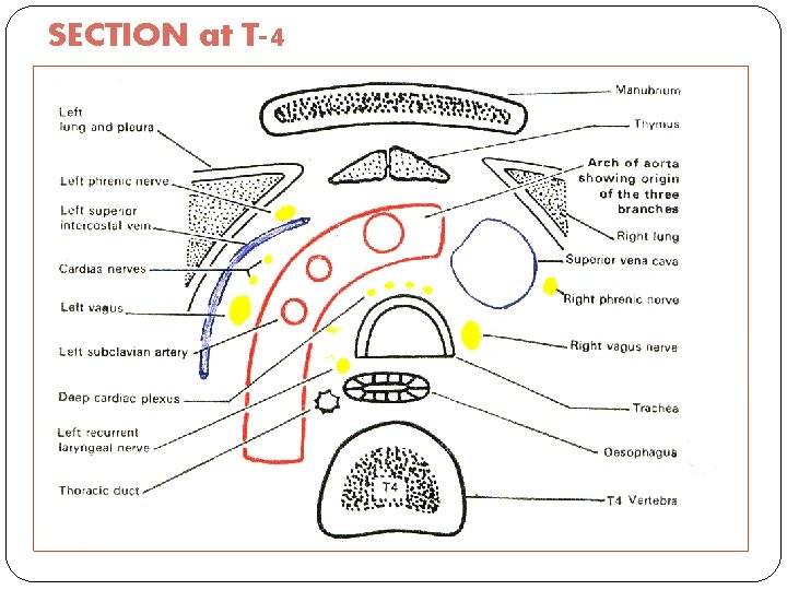 SECTION at T-4 15 