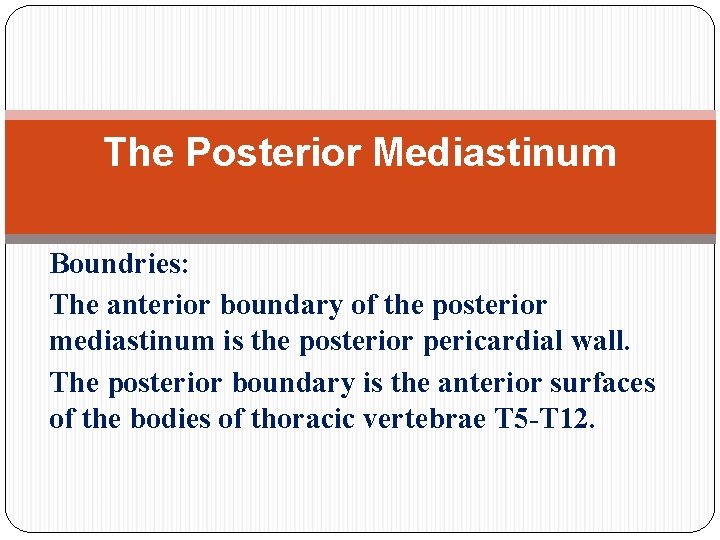 The Posterior Mediastinum Boundries: The anterior boundary of the posterior mediastinum is the posterior
