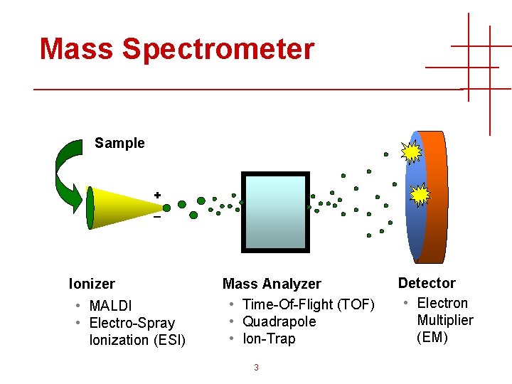 Mass Spectrometer Sample + _ Ionizer • MALDI • Electro-Spray Ionization (ESI) Mass Analyzer