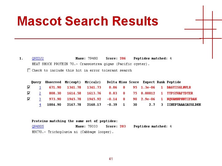 Mascot Search Results 41 