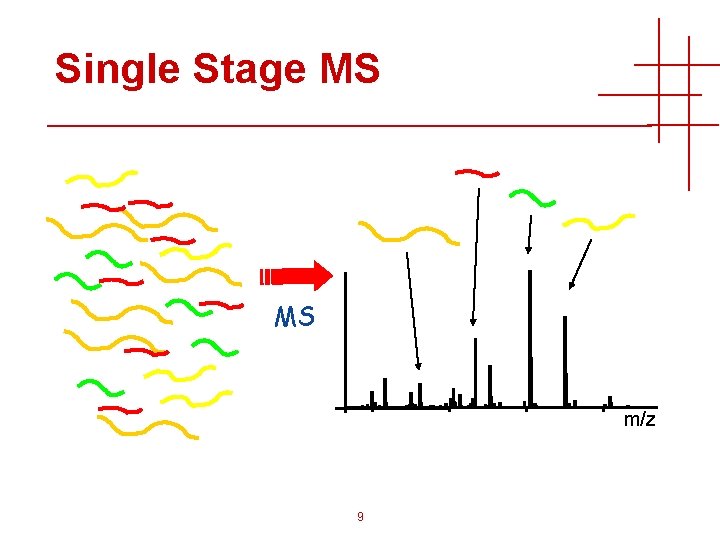 Single Stage MS MS m/z 9 