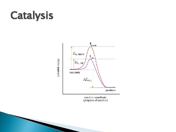 Catalysis 