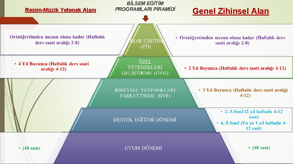 Resim-Müzik Yetenek Alanı BİLSEM EĞİTİM PROGRAMLARI PİRAMİDİ Genel Zihinsel Alan 