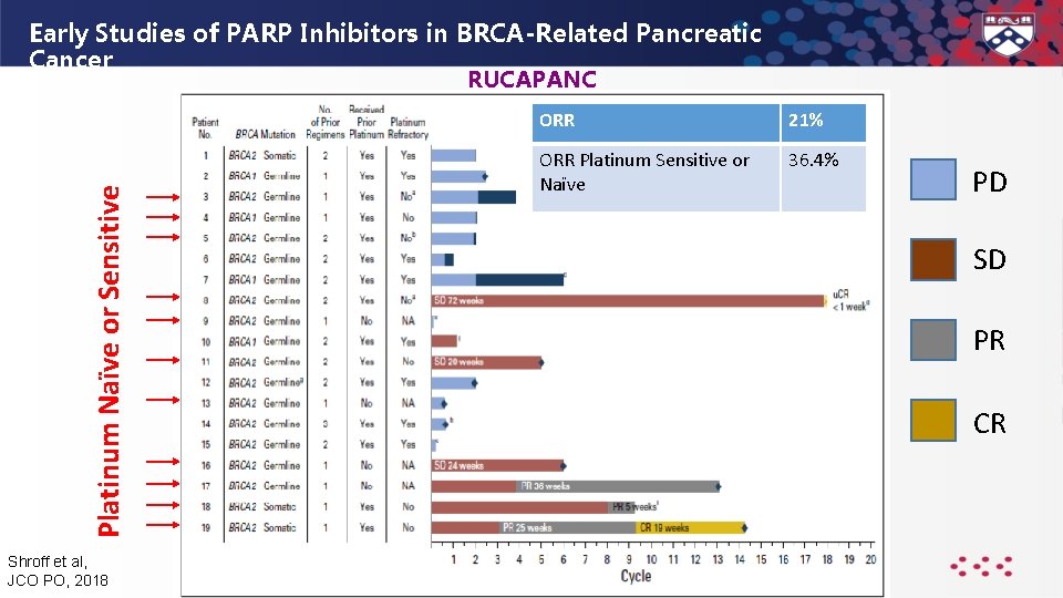 PARP Inhibitors in Pancreatic Cancer Kim A Reiss