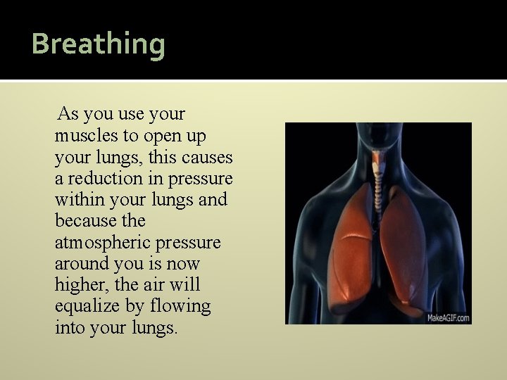 Breathing As you use your muscles to open up your lungs, this causes a