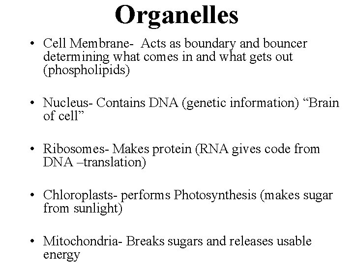 Organelles • Cell Membrane- Acts as boundary and bouncer determining what comes in and