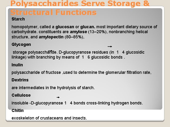 Polysaccharides Serve Storage & Structural Functions Starch homopolymer, called a glucosan or glucan. most