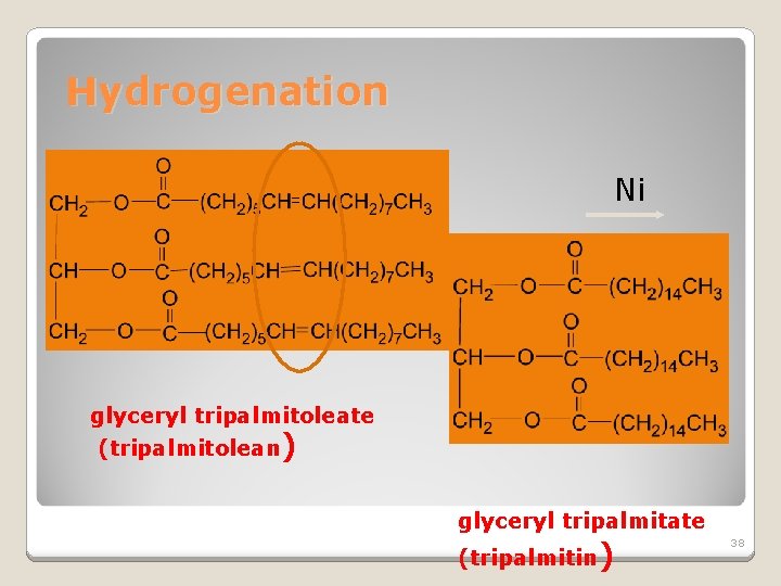 Hydrogenation Ni + 3 H 2 glyceryl tripalmitoleate (tripalmitolean) glyceryl tripalmitate (tripalmitin) 38 