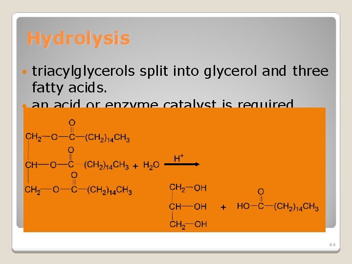 Hydrolysis triacylglycerols split into glycerol and three fatty acids. • an acid or enzyme