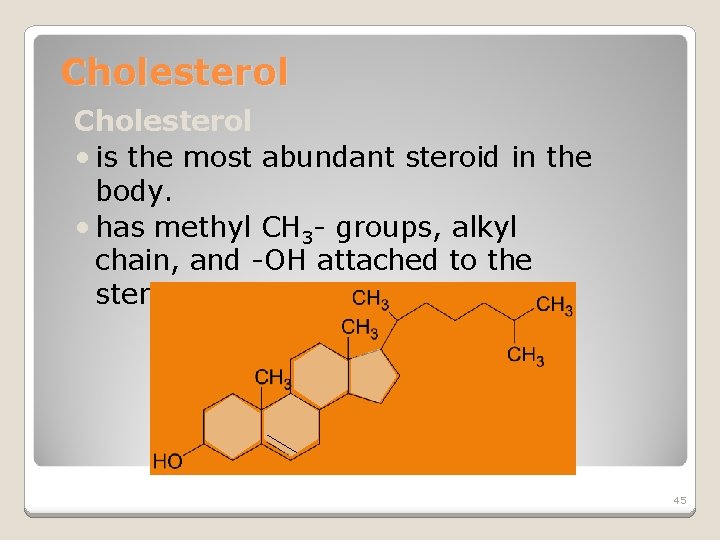 Cholesterol • is the most abundant steroid in the body. • has methyl CH