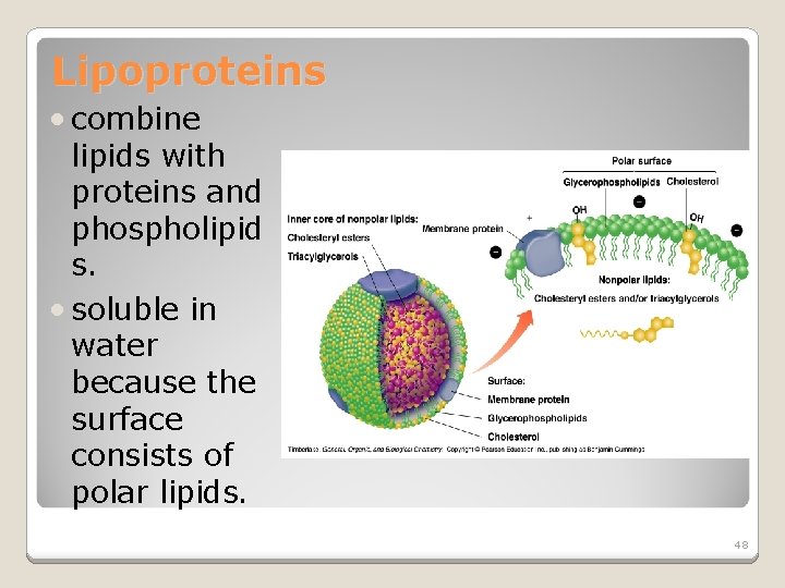 Lipoproteins • combine lipids with proteins and phospholipid s. • soluble in water because