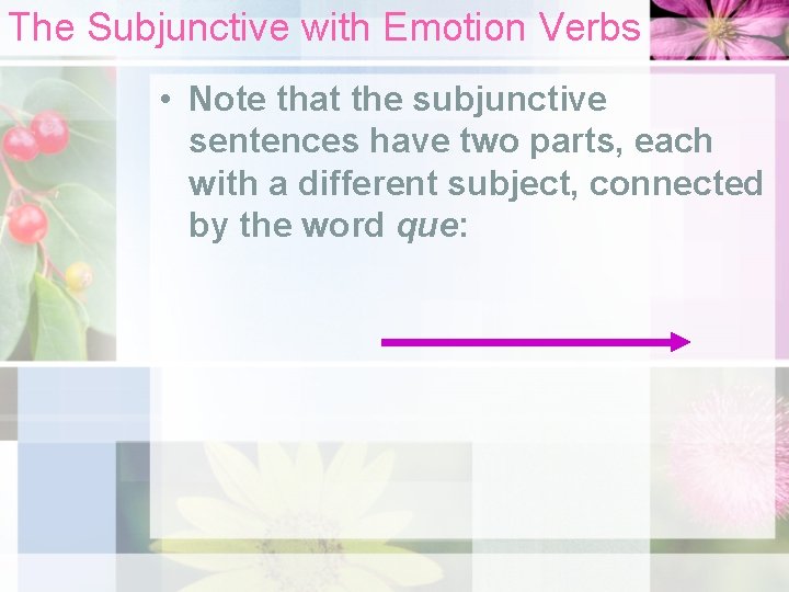 The Subjunctive with Emotion Verbs • Note that the subjunctive sentences have two parts,