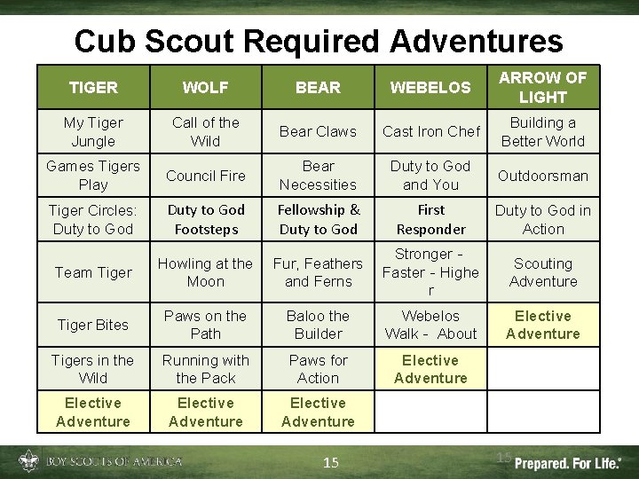 Cub Scout Required Adventures TIGER WOLF BEAR WEBELOS ARROW OF LIGHT My Tiger Jungle