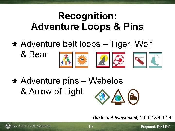Recognition: Adventure Loops & Pins Adventure belt loops – Tiger, Wolf & Bear Adventure