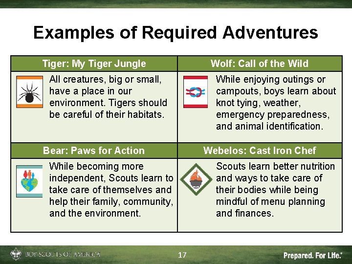 Examples of Required Adventures Tiger: My Tiger Jungle Wolf: Call of the Wild All