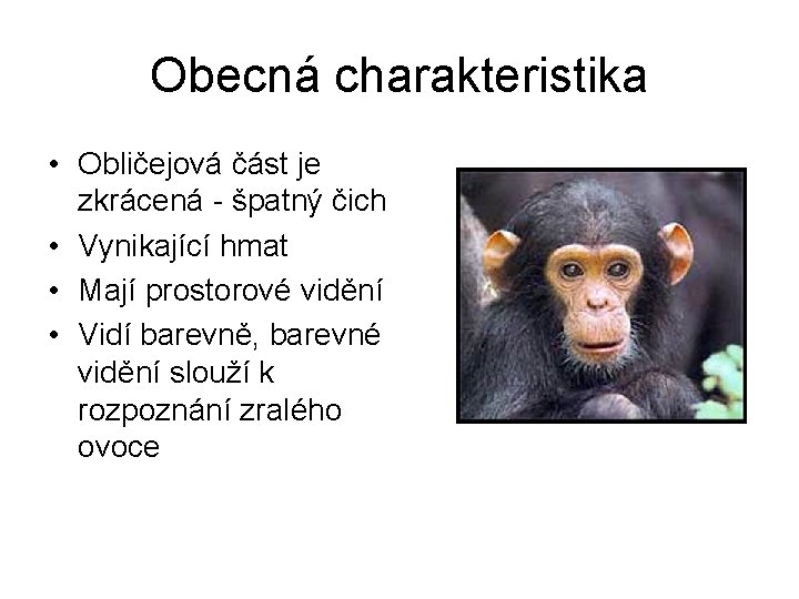 Obecná charakteristika • Obličejová část je zkrácená - špatný čich • Vynikající hmat •