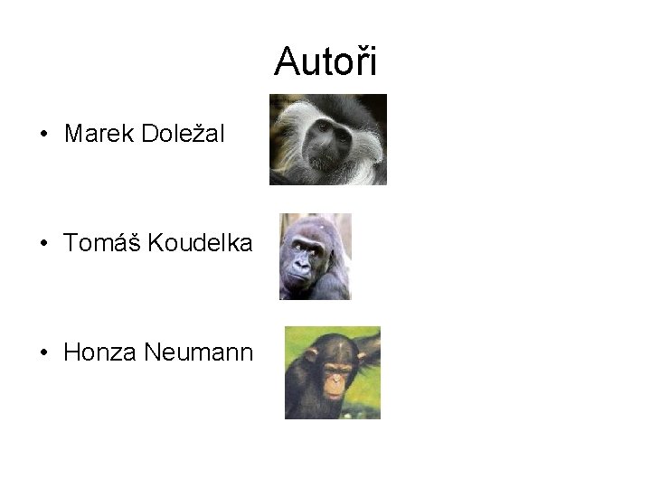 Autoři • Marek Doležal • Tomáš Koudelka • Honza Neumann 