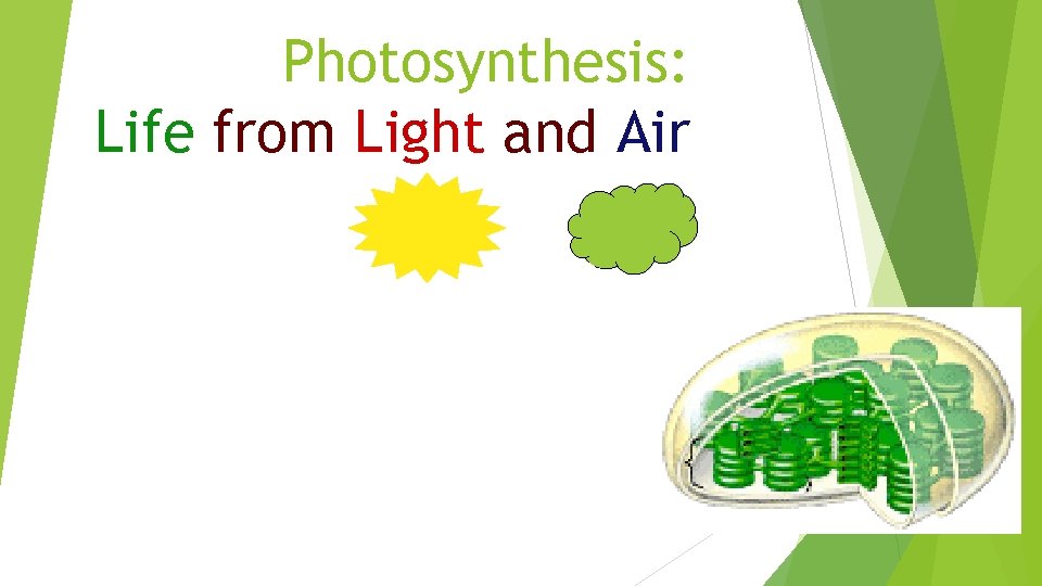 Photosynthesis: Life from Light and Air 