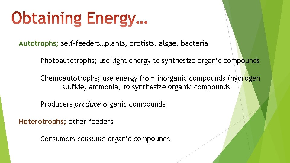 Autotrophs; self-feeders…plants, protists, algae, bacteria Photoautotrophs; use light energy to synthesize organic compounds Chemoautotrophs;