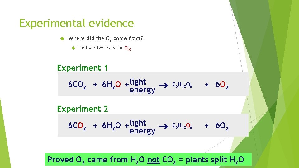 Experimental evidence Where did the O 2 come from? radioactive tracer = O 18