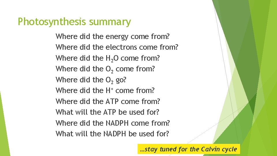 Photosynthesis summary Where did the energy come from? Where did the electrons come from?