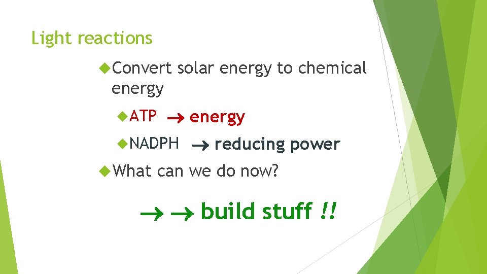 Light reactions Convert solar energy to chemical energy ATP energy NADPH What reducing power