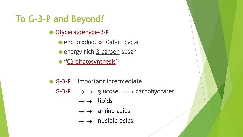 To G-3 -P and Beyond! Glyceraldehyde-3 -P end product of Calvin cycle energy “C