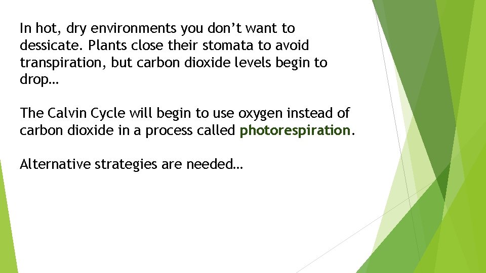 In hot, dry environments you don’t want to dessicate. Plants close their stomata to
