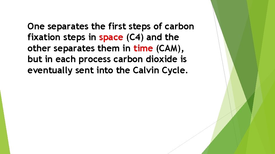 One separates the first steps of carbon fixation steps in space (C 4) and