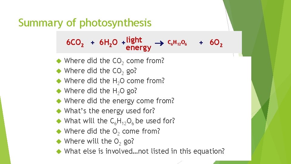 Summary of photosynthesis 6 CO 2 + 6 H 2 O +light energy C
