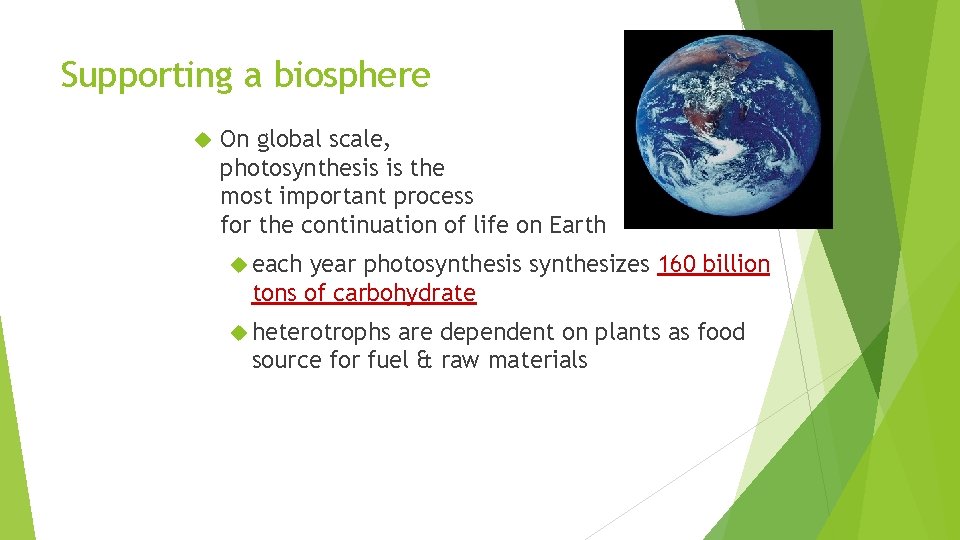 Supporting a biosphere On global scale, photosynthesis is the most important process for the