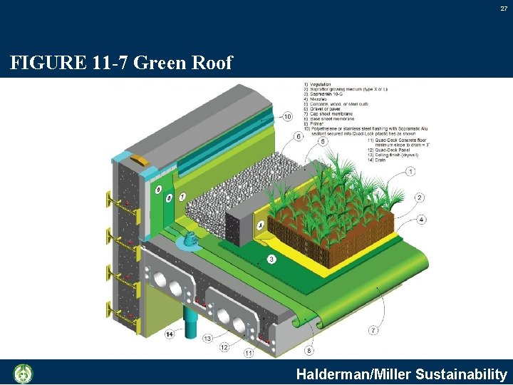 27 FIGURE 11 -7 Green Roof Halderman/Miller Sustainability 