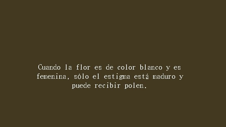 Cuando la flor es de color blanco y es femenina, sólo el estigma está