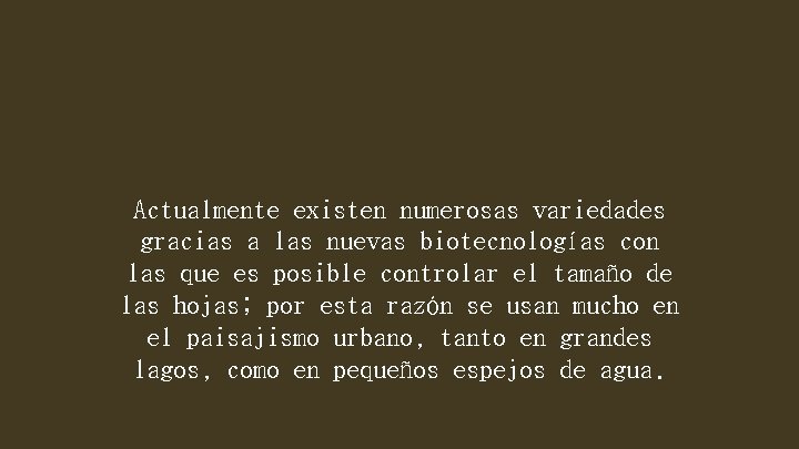 Actualmente existen numerosas variedades gracias a las nuevas biotecnologías con las que es posible