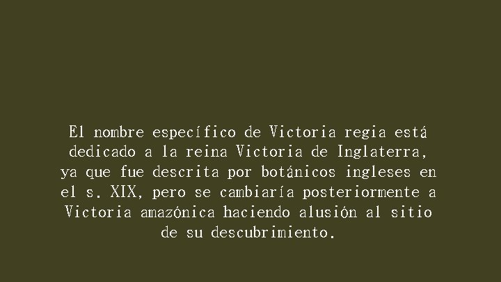 El nombre específico de Victoria regia está dedicado a la reina Victoria de Inglaterra,