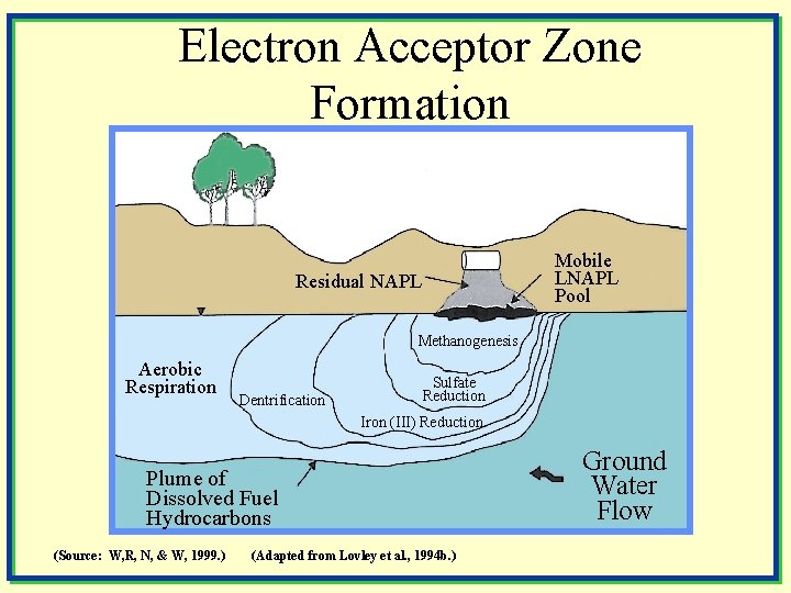 Electron Acceptor Zone Formation Mobile LNAPL Pool Residual NAPL Methanogenesis Aerobic Respiration Dentrification Sulfate