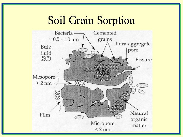 Soil Grain Sorption 