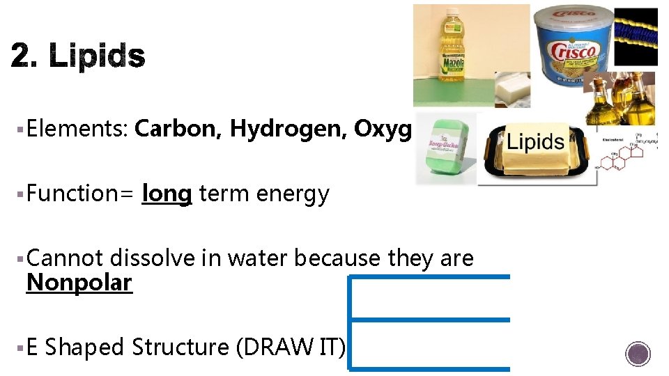§ Elements: Carbon, Hydrogen, Oxygen § Function= long term energy § Cannot dissolve in