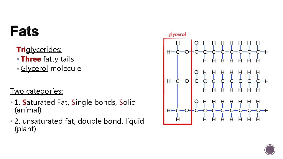 Triglycerides: § Three fatty tails § Glycerol molecule Two categories: § 1. Saturated Fat,