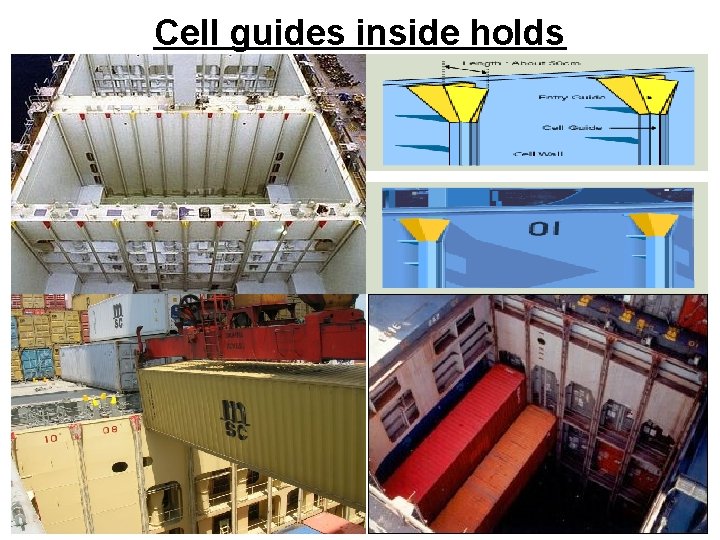 Cell guides inside holds 