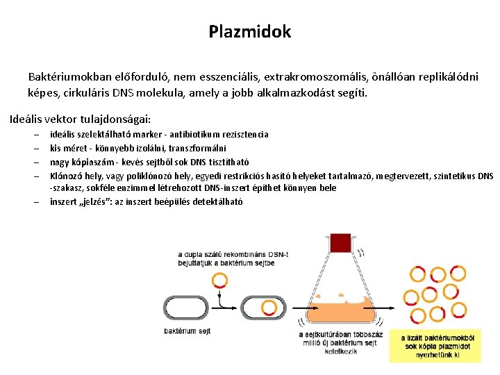 Plazmidok Baktériumokban előforduló, nem esszenciális, extrakromoszomális, önállóan replikálódni képes, cirkuláris DNS molekula, amely a