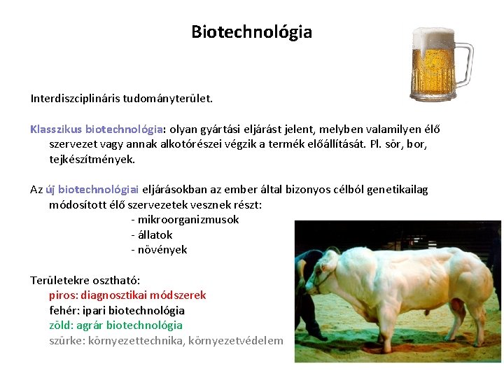 Biotechnológia Interdiszciplináris tudományterület. Klasszikus biotechnológia: olyan gyártási eljárást jelent, melyben valamilyen élő szervezet vagy
