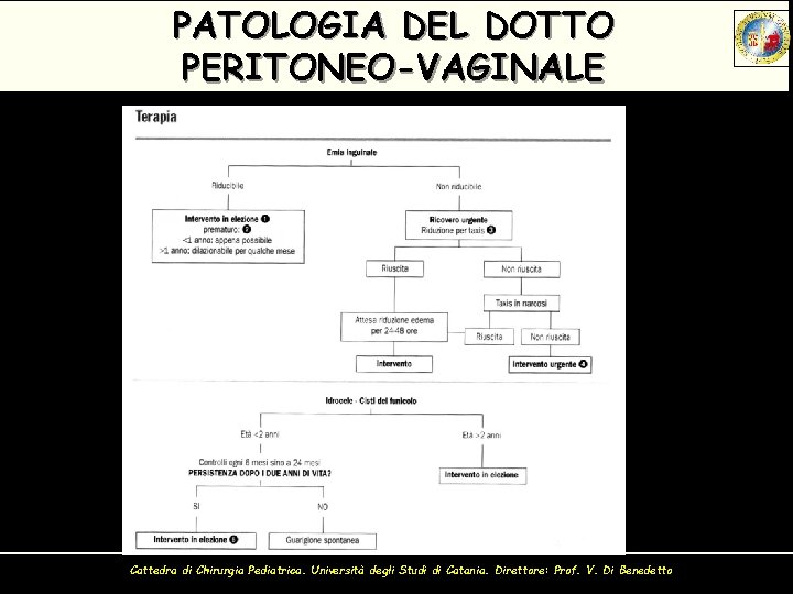 PATOLOGIA DEL DOTTO PERITONEO-VAGINALE Cattedra di Chirurgia Pediatrica. Università degli Studi di Catania. Direttore:
