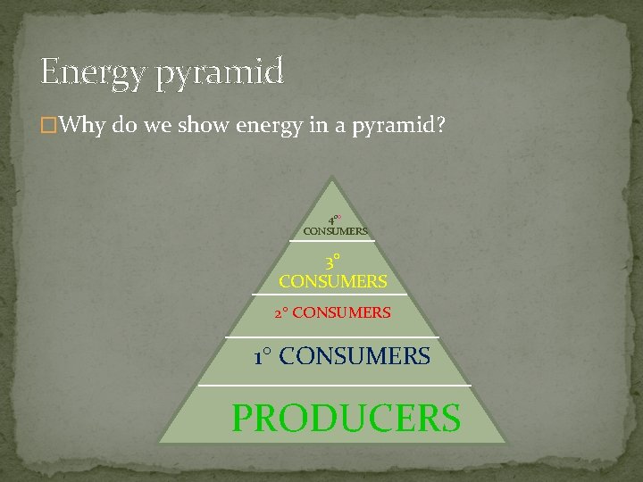 Energy pyramid �Why do we show energy in a pyramid? 4⁰ CONSUMERS 3 CONSUMERS