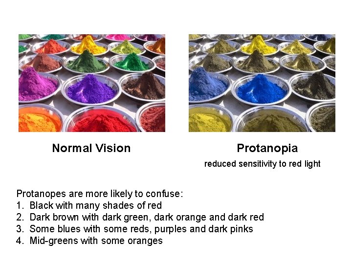 Normal Vision Protanopia reduced sensitivity to red light Protanopes are more likely to confuse: