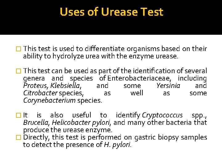 Uses of Urease Test � This test is used to differentiate organisms based on