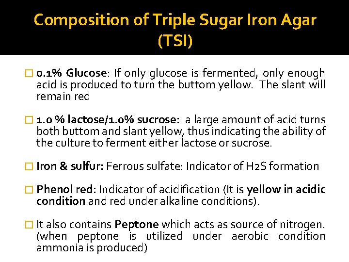 Composition of Triple Sugar Iron Agar (TSI) � 0. 1% Glucose: If only glucose