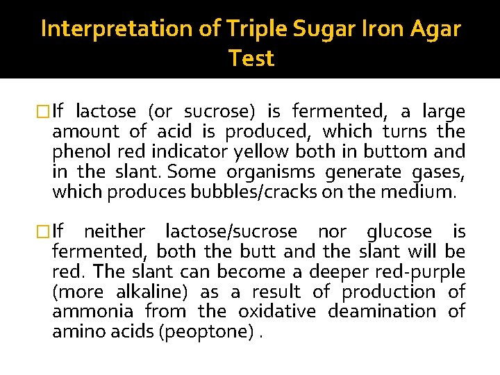 Interpretation of Triple Sugar Iron Agar Test �If lactose (or sucrose) is fermented, a