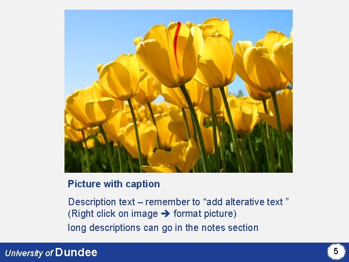 Picture with caption Description text – remember to “add alterative text ” (Right click