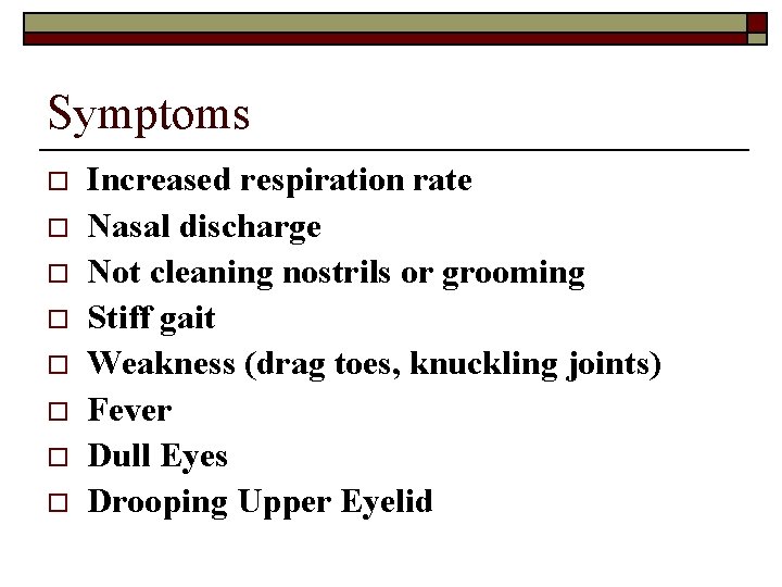 Symptoms o o o o Increased respiration rate Nasal discharge Not cleaning nostrils or